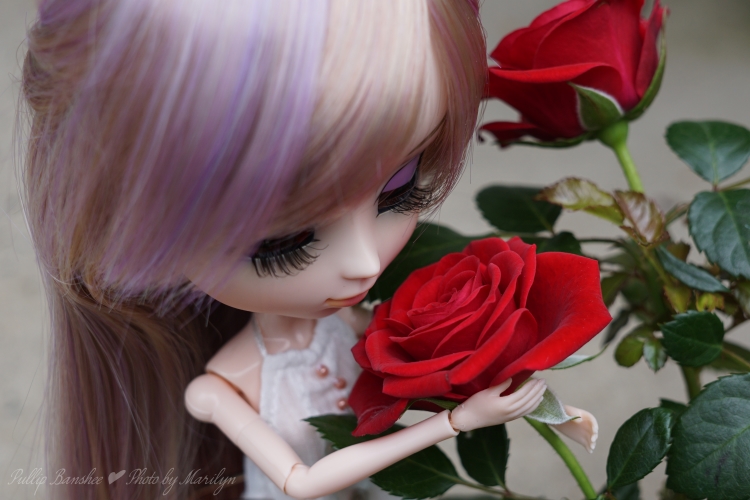 [Image: Banshee-red-roses_2015.07-2.jpg]