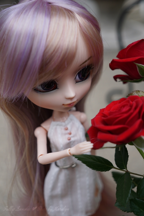 [Image: Banshee-red-roses_2015.07.jpg]