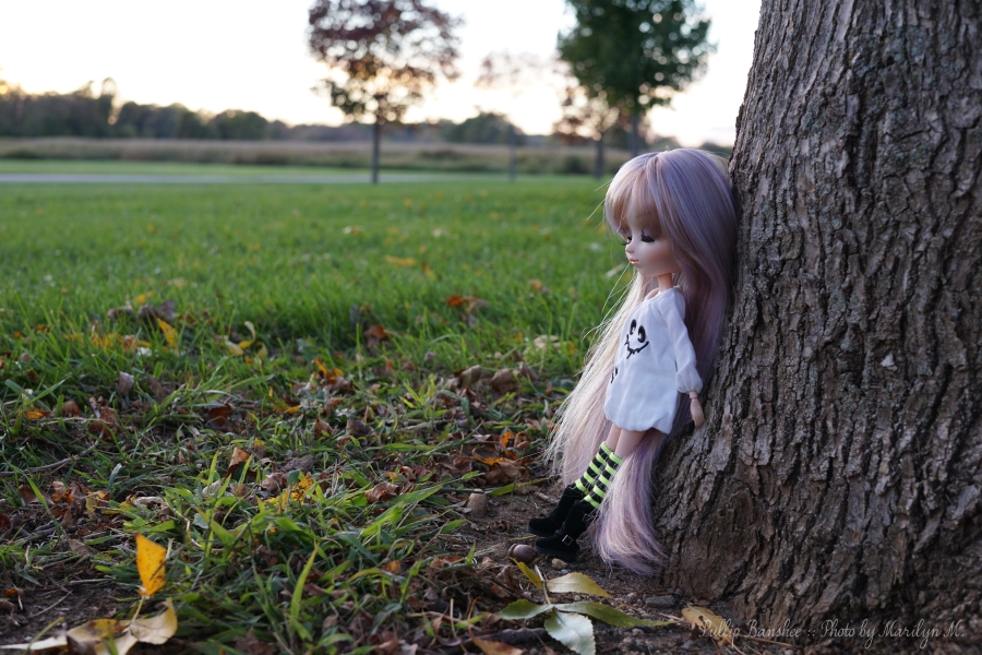 [Image: Pullip-Banshee-park.jpg]